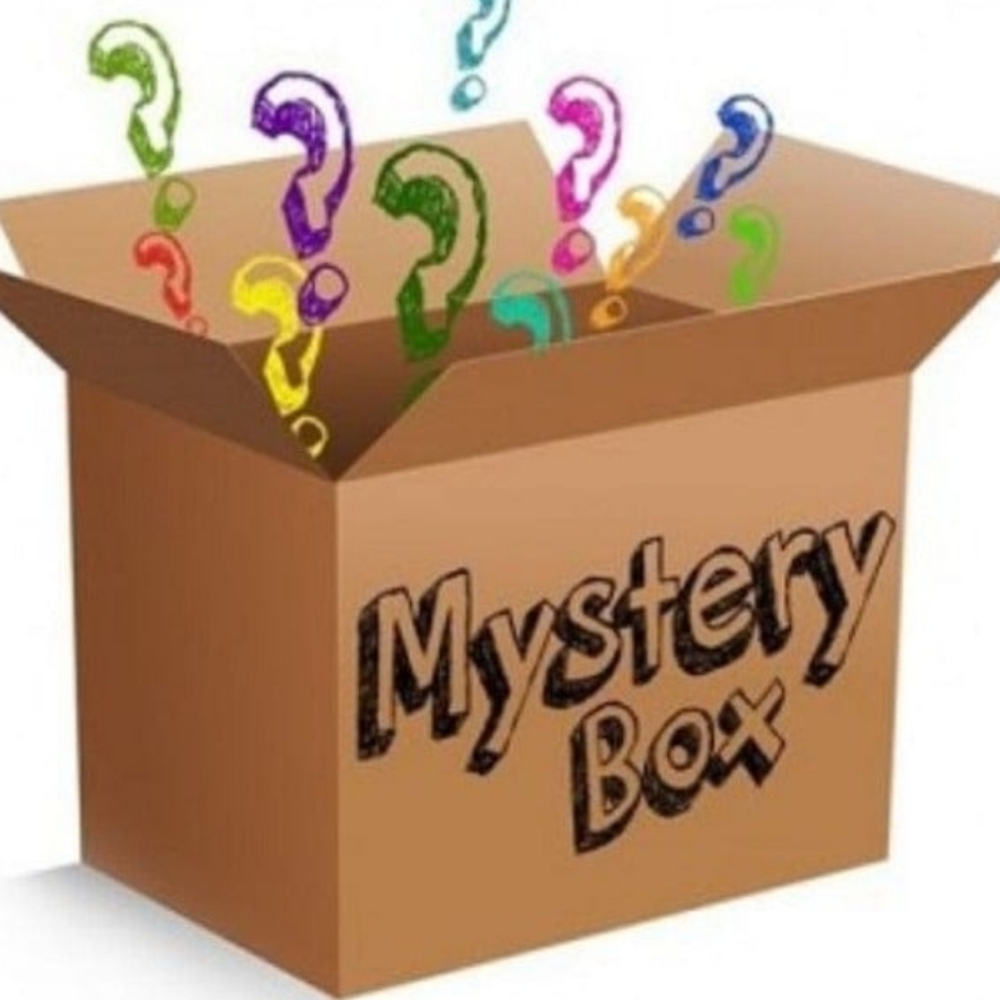 2 Or More Bag/Purse Mystery Box